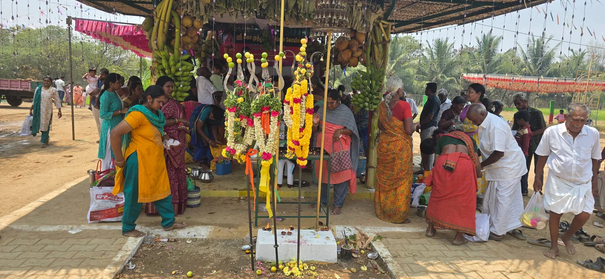 முத்து முனியப்பன்  திருவிழா